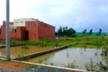 Rao bán nhiều, nền đất giảm giá