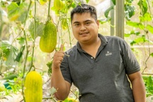 Bốn chàng trai Ê Đê góp vốn khởi nghiệp với trái dưa nước, ớt ở Đắk Lắk