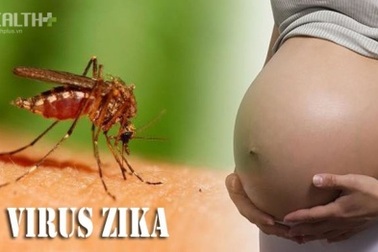 Ca mang thai thụ tinh ống nghiệm đầu tiên bị nhiễm Zika