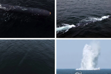 Triều Tiên thử vũ khí tấn công hạt nhân tạo "sóng thần phóng xạ"