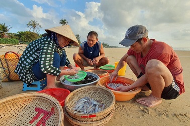 Phú Yên: Tất bật mưu sinh trong buổi sáng sớm ở làng chài ven biển