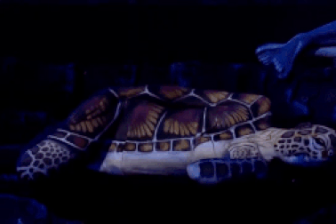 Vẻ đẹp kỳ vĩ của đại dương được tái hiện qua nghệ thuật “body-painting”