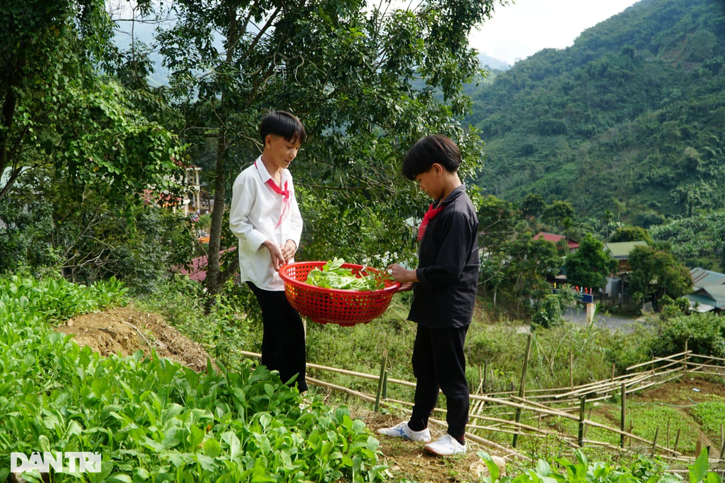 Độc đáo mô hình học sinh vùng biên trồng rau, nhà trường trả tiền - 4 Độc đáo mô hình học sinh vùng biên trồng rau, nhà trường trả tiền - 4