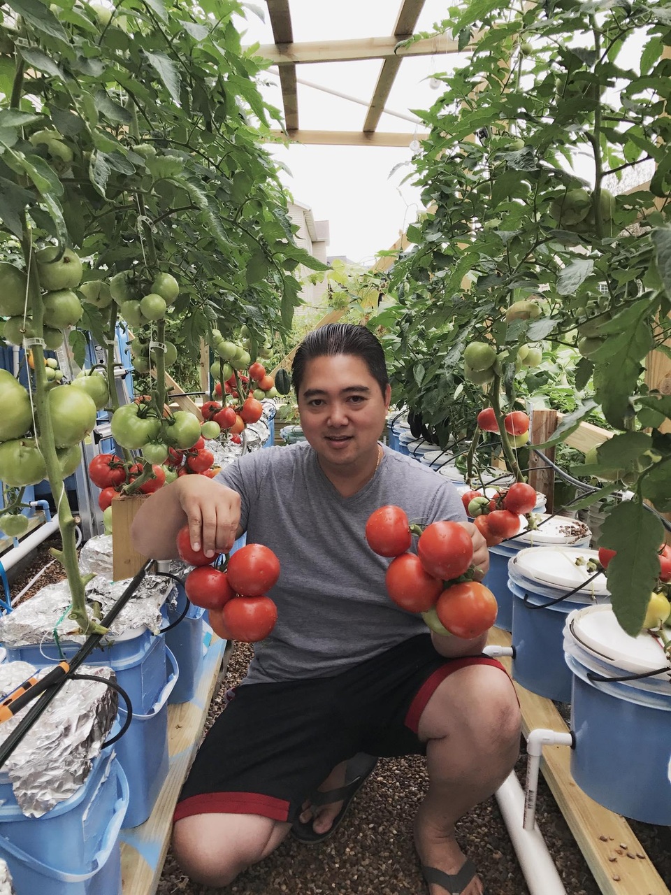 Mê mẩn vườn 20m2 ngập rau, trái của người đàn ông gốc Việt ở Mỹ - 12