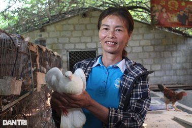 Sau cú vấp ngã, người phụ nữ không nản và cái kết như mơ