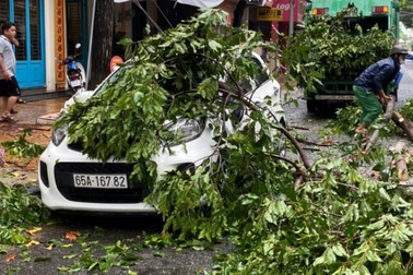 Mưa giông làm tốc mái, xiêu vẹo 17 căn nhà, bật gốc nhiều cây xanh