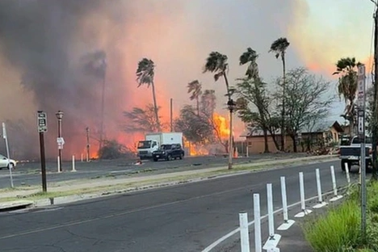 Cháy rừng như "ngày tận thế" ở Hawaii, một thị trấn bị thiêu rụi