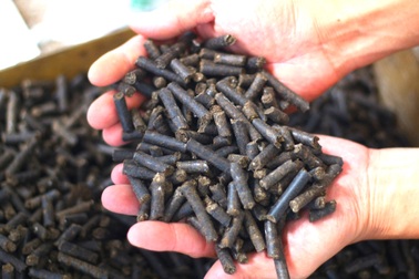 Tận dụng thứ bỏ đi ở các lò mổ, 9X chế thành "tiền tươi, thóc thật"