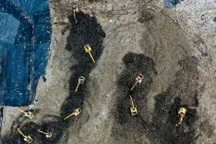 TPHCM đề nghị lùi thời gian thay đổi giờ tiếp nhận rác ở bãi Đa Phước