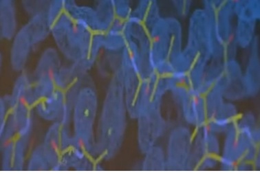 Enzyme ăn nhựa hứa hẹn giải pháp chống lại ô nhiễm môi trường