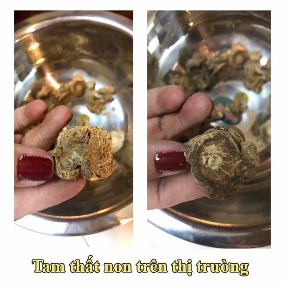 Doanh nhân Tuyết Nguyễn chia sẻ cách phân biệt tam thất thật giả - 3 Doanh nhân Tuyết Nguyễn chia sẻ cách phân biệt tam thất thật giả - 3