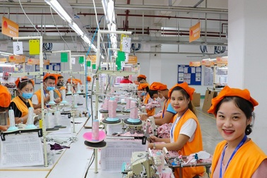 Hà Nội: Mức thưởng Tết cao nhất hao hụt... một nửa