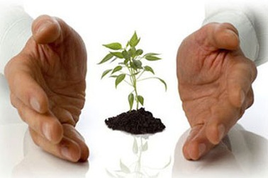 Lãng phí nhân tài là lãng phí lớn nhất