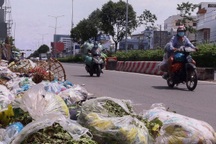 Rác thải tràn lan trên nhiều tuyến đường ở TPHCM