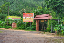 Bình Định sẽ cưỡng chế công trình vi phạm trên đất lâm nghiệp