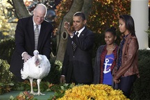 Obama xá tội cho gà tây tại Nhà Trắng
