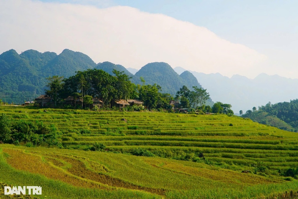 Die rote Flaggenstraße mit dem gelben Stern in Pu Luong ist so schön wie ein Bild und zieht am 2. und 3. September Besucher an Con đường cờ đỏ sao vàng ở Pù Luông đẹp như tranh, hút khách dịp 2/9 - 3