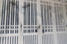 Vợ cựu Viện Phó sàm sỡ bé gái đề nghị điều tra việc gia đình bị làm nhục