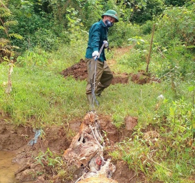 “Gã khùng” bỏ việc nhà đi khắp nơi vớt xác lợn trên sông - 2 “Gã khùng” bỏ việc nhà đi khắp nơi vớt xác lợn trên sông - 2