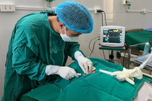 Nam thanh niên 17 tuổi ngộ độc thuốc trừ sâu