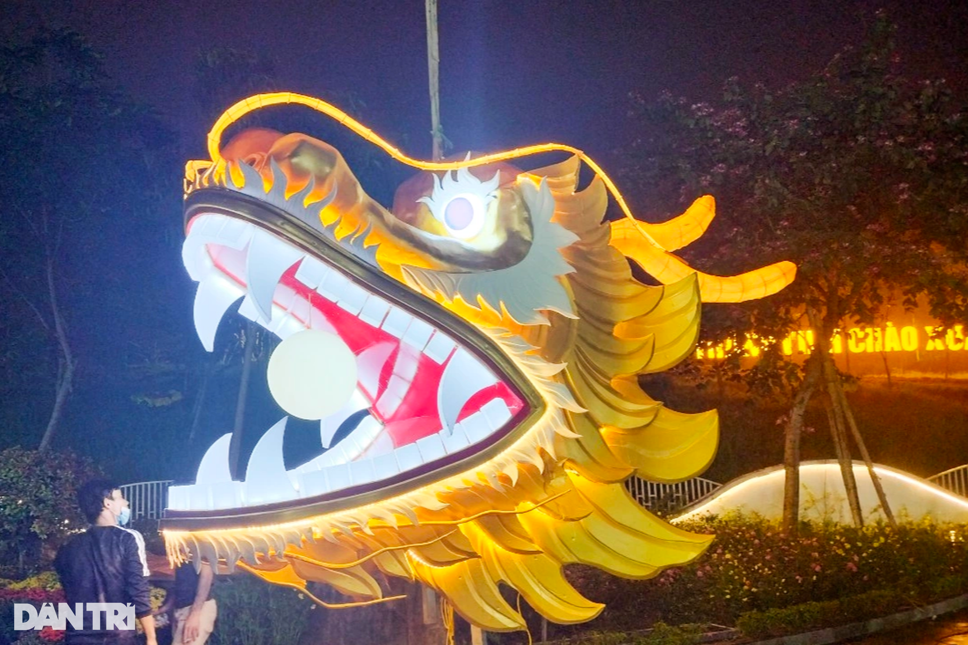 Linh vật rồng Nghệ An vừa trình làng, nhận vô số lời khen - 4 Linh vật rồng Nghệ An vừa trình làng, nhận vô số lời khen - 4