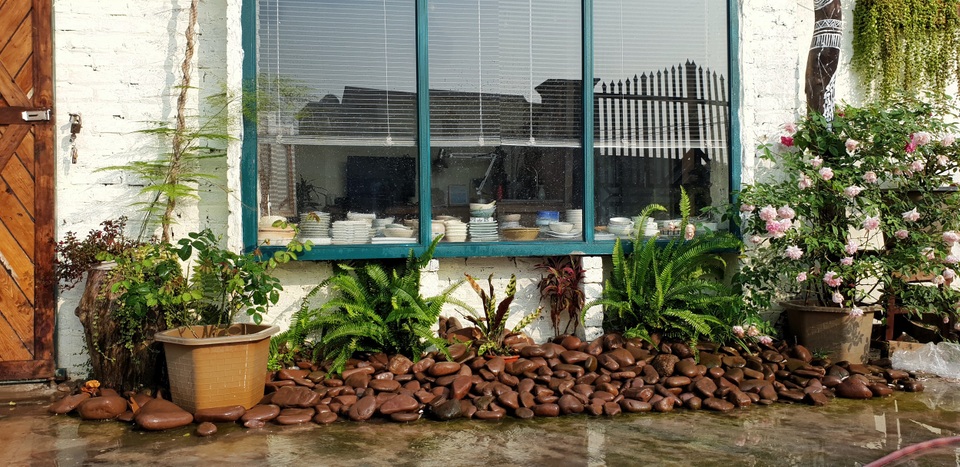 Từ bỏ thu nhập 50 triệu đồng/ tháng, thợ xăm 9x về quê “ở rể” làm nông dân - 7 Từ bỏ thu nhập 50 triệu đồng/ tháng, thợ xăm 9x về quê “ở rể” làm nông dân - 7