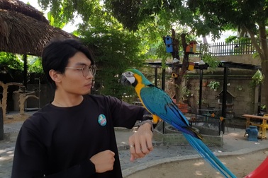 Vừa uống cà phê, vừa "trò chuyện" với những chú vẹt ở Tp. Hồ Chí Minh