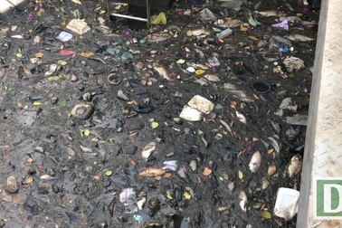 Huy động máy móc vớt hàng tấn cá chết trắng kênh Nhiêu Lộc – Thị Nghè