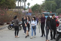 Nhộn nhịp người mua sắm tại chợ hoa tết đường Lạc Long Quân