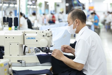 Nghỉ việc trước tuổi hưu được hưởng trợ cấp thôi việc và thất nghiệp