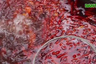 Chợ cá Yên Sở rực vàng trước ngày cúng ông Công ông Táo