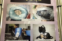 Manh mối phá án vụ khủng bố trụ sở công an phường tại TPHCM