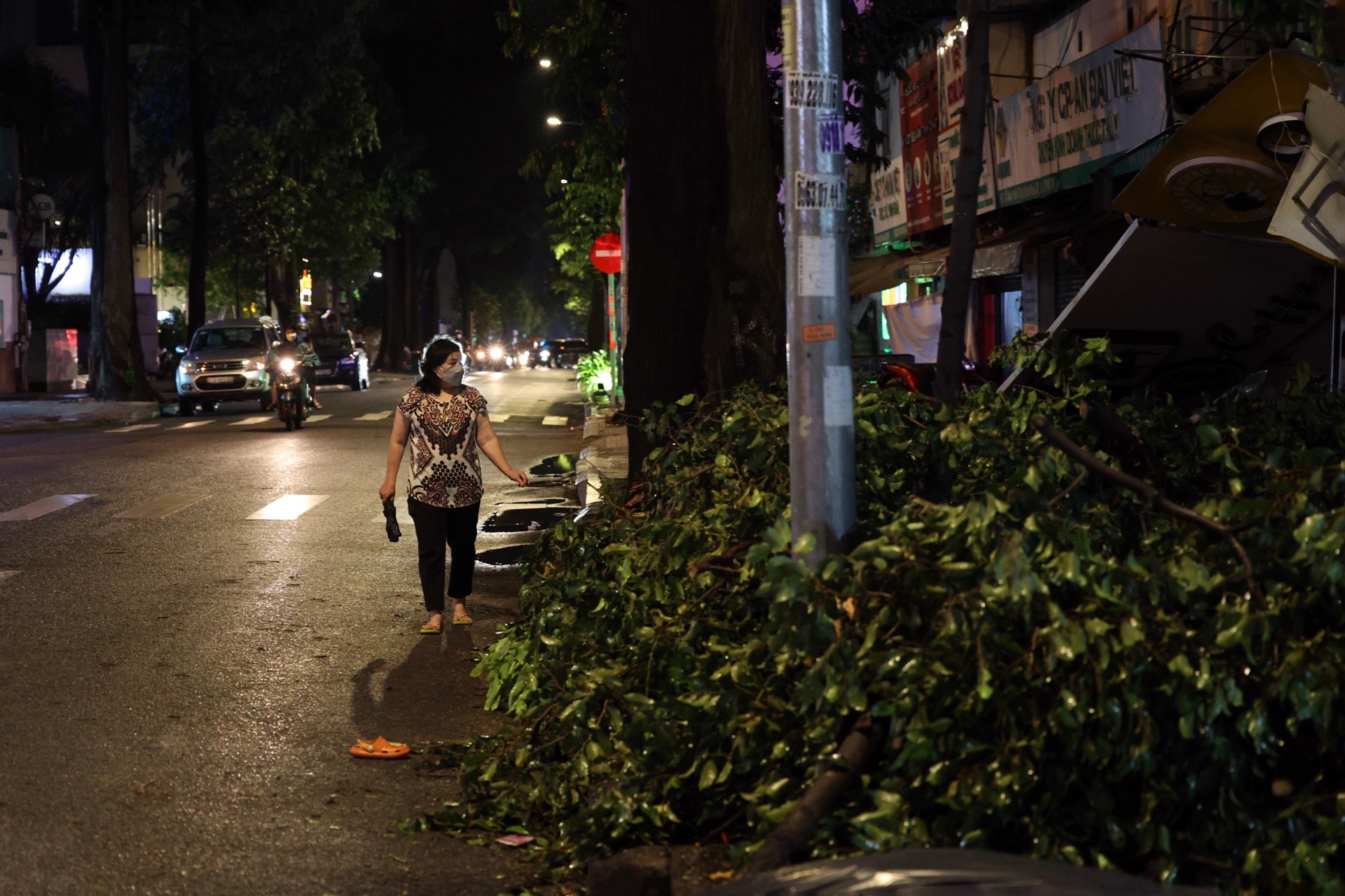 Nhánh cây gãy đè trúng nhà dân sau trận mưa lớn ở TPHCM - 9 Nhánh cây gãy đè trúng nhà dân sau trận mưa lớn ở TPHCM - 9