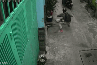 Kẻ trộm chó táo tợn xịt hơi cay để "mở đường" thoát thân