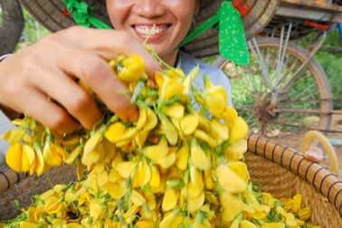 Lũ muộn gọi Xuân về sớm 