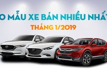 10 mẫu xe bán nhiều nhất tháng 1/2019: Toyota Vios bị hạ bệ