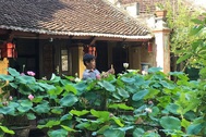 Nhà gỗ cổ “độc nhất” Bắc Bộ, bao quanh sân là vườn sen thơm ngát
