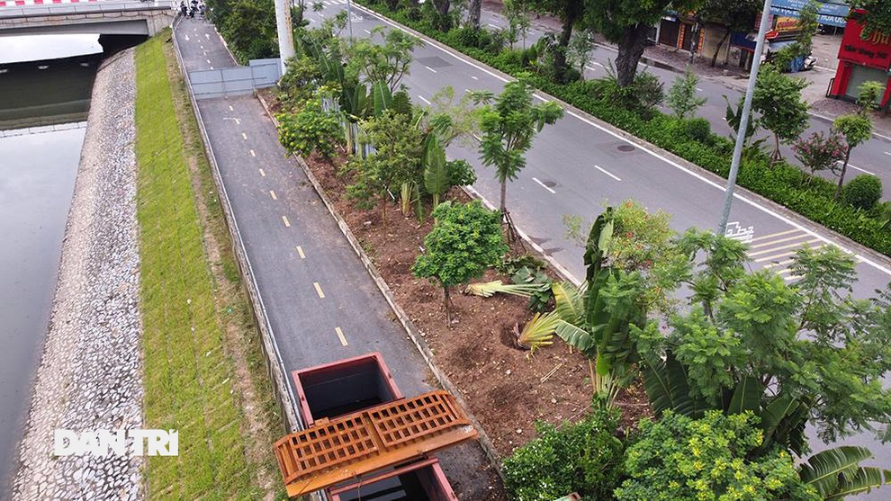 Đánh chuyển hơn 700 cây xanh dọc sông Tô Lịch để làm dự án thoát nước thải - 3 Đánh chuyển hơn 700 cây xanh dọc sông Tô Lịch để làm dự án thoát nước thải - 3