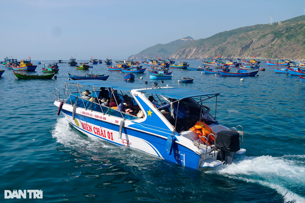 Tour khám phá biển, đảo mê hoặc du khách đến Bình Định - 4 Tour khám phá biển, đảo mê hoặc du khách đến Bình Định - 4