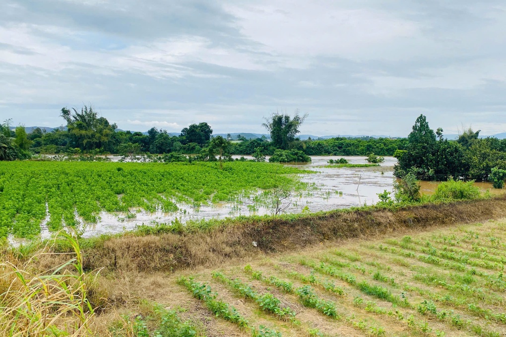 Hồ thủy điện trên sông Đồng Nai xả tràn không báo trước gây ngập - 1