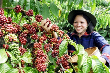 Tây Nguyên "gọi" vốn đầu tư