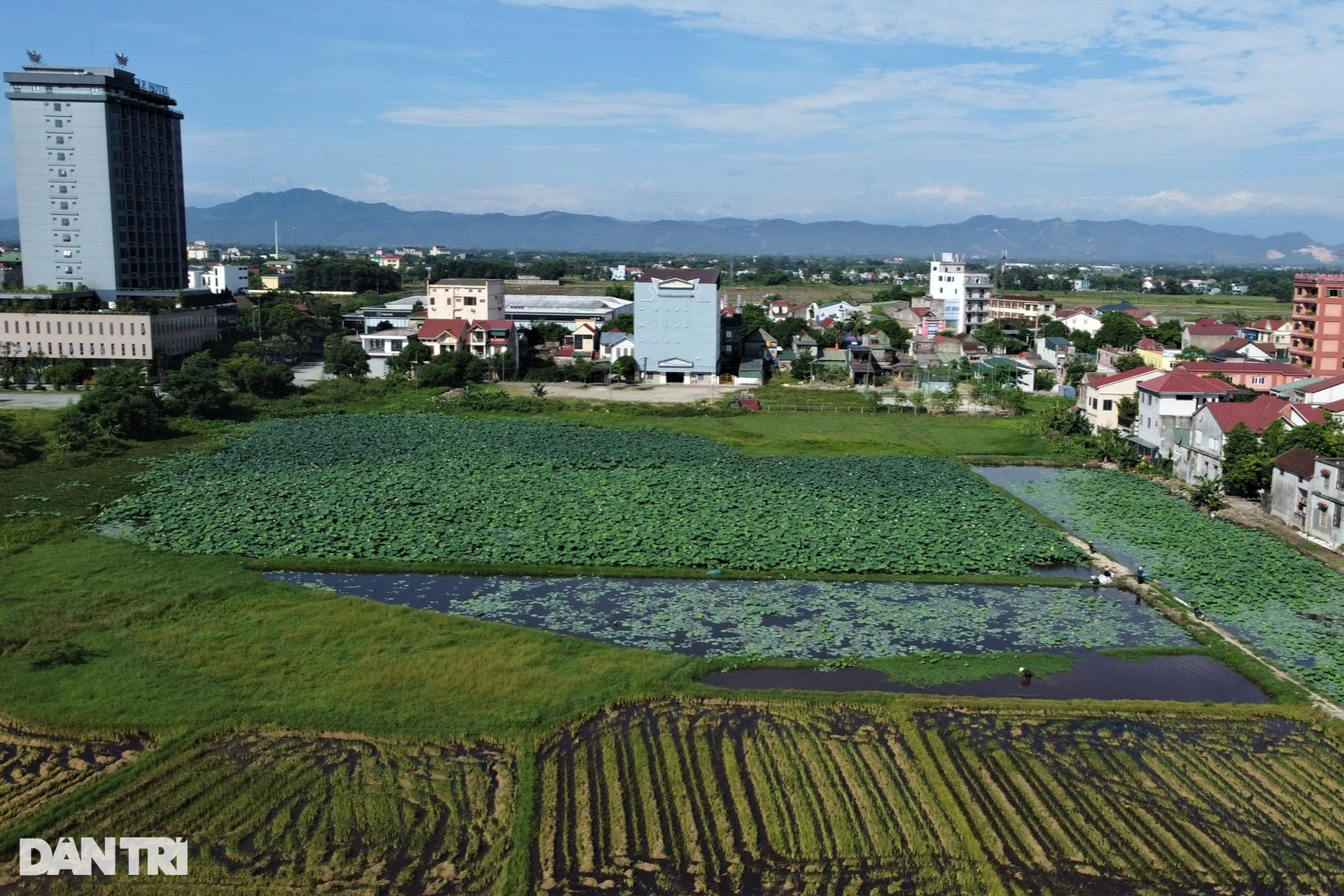 Đặc sản màu trắng sữa, sờ mát lạnh giúp bác nông dân có thu nhập cao - 2