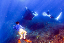 Khách Việt chi 20 triệu đồng lặn biển, ngắm đại dương ở "thiên đường" Bali