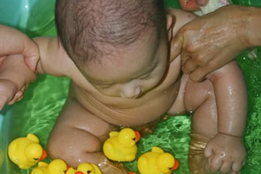 Vịt cao su chứa độc bày bán tràn lan tại VN