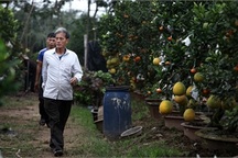 Lạ lẫm vườn cây cảnh độc nhất đất Hà Thành