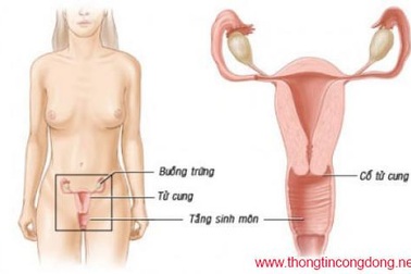 Viêm nhiễm phần phụ liên tục vì bơm thông vòi trứng?