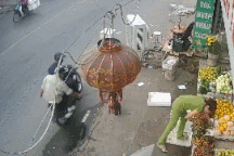 Clip “màn câu trộm chó ngang nhiên giữa ban ngày” gây phẫn nộ tuần qua