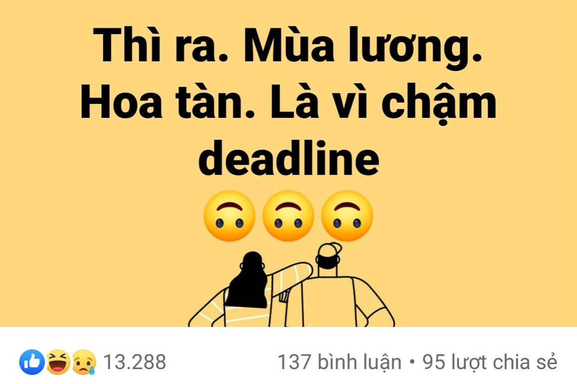 Bị deadline dí liên tục, Gen Z uống nước tăng lực, thức trắng 3 ngày - 2 Bị deadline dí liên tục, Gen Z uống nước tăng lực, thức trắng 3 ngày - 2