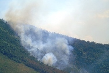 Rừng thông cháy lớn giữa nắng nóng 40 độ C