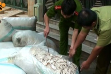 Khổ vì phải “ôm” 1 tấn bì lợn thối